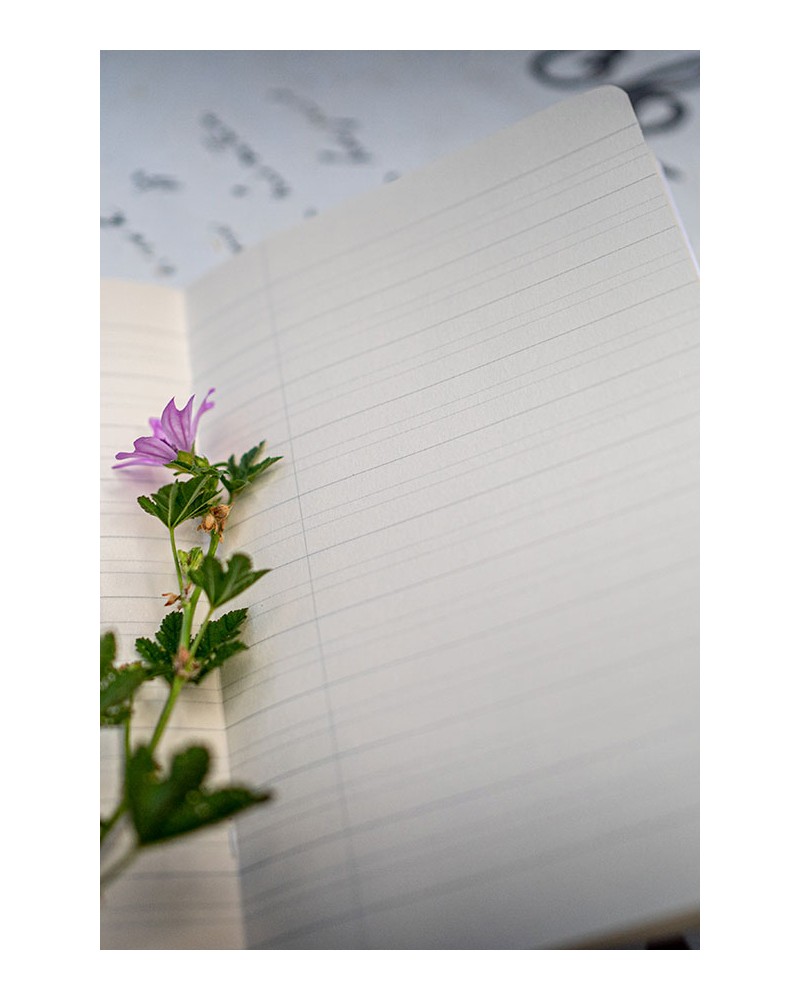 intérieur carnet 12x18cm lignes d'ecolier